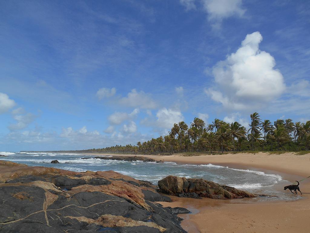 Pousada Aracas Village Imbassai Exteriör bild